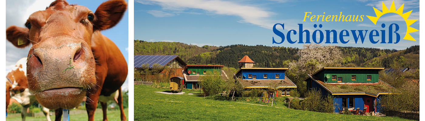 Ferienhaus Schoeneweiss