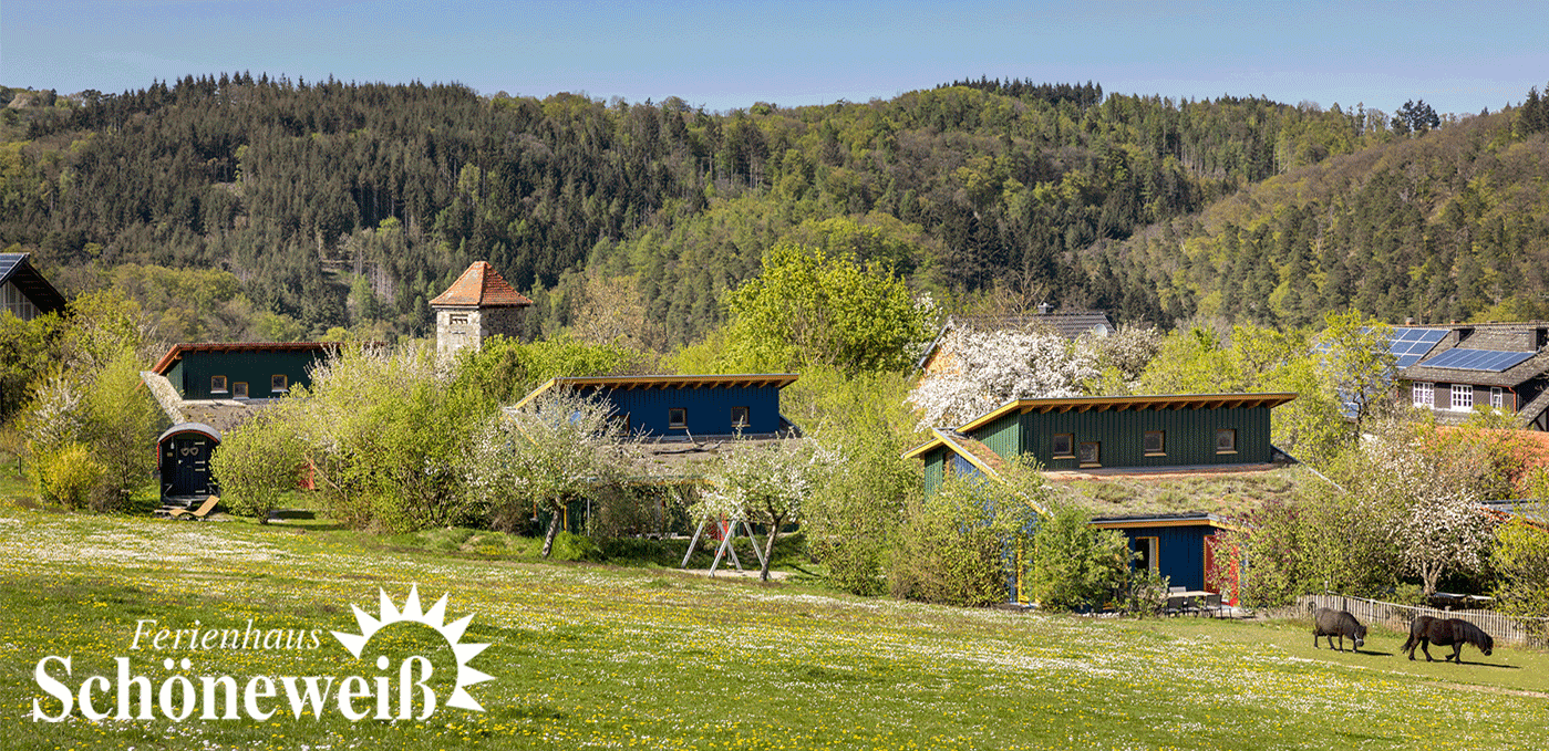 Ferienhaus Schoeneweiss