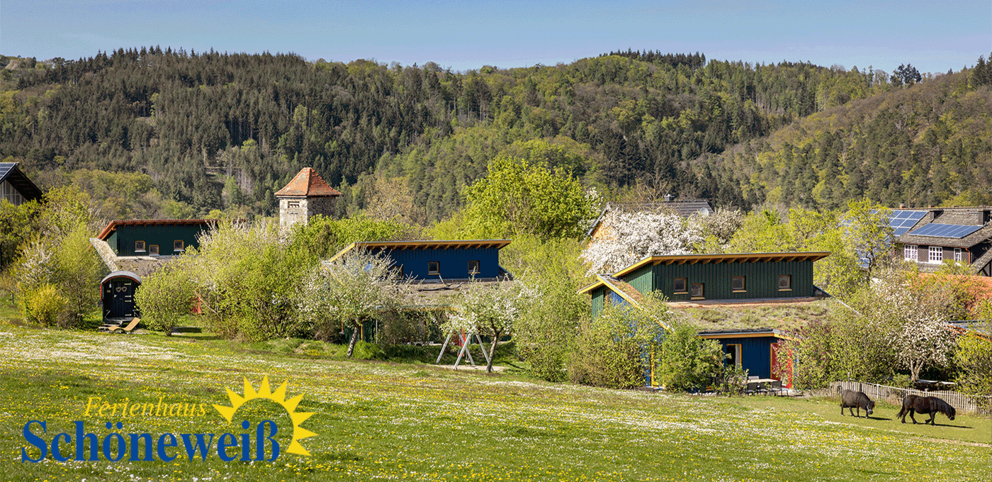 Ferienhaus Schoeneweiss