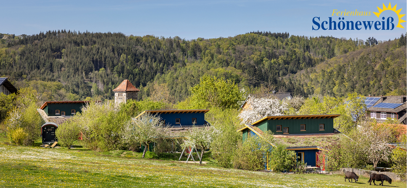Ferienhaus Schoeneweiss